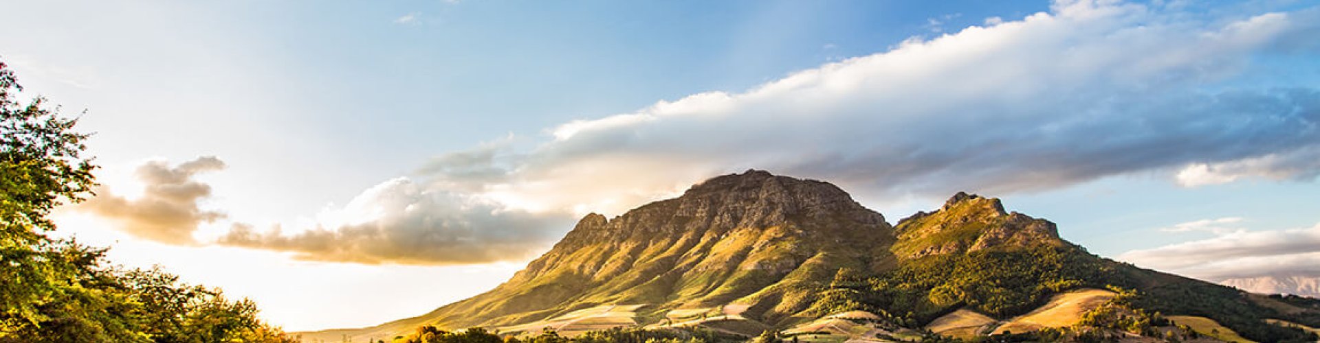 Stellenbosch landscape at sunset