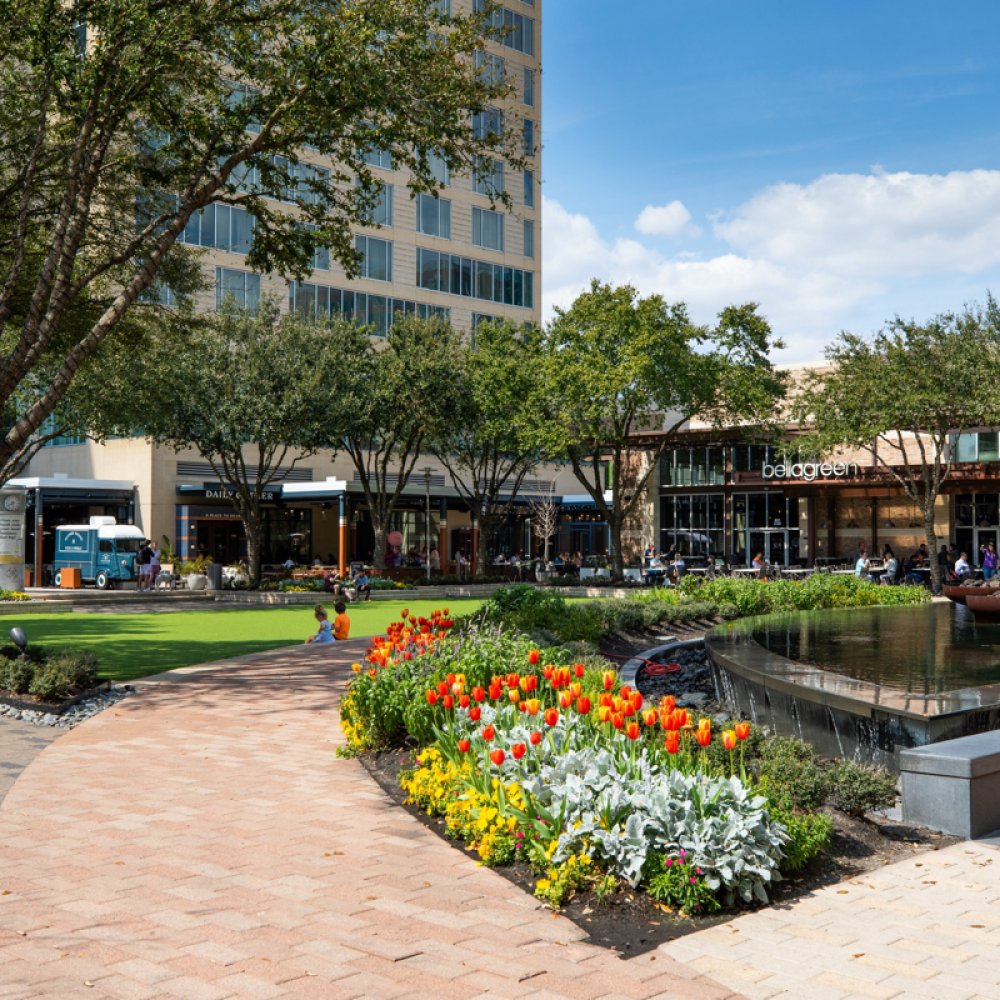 Standard Post with Image