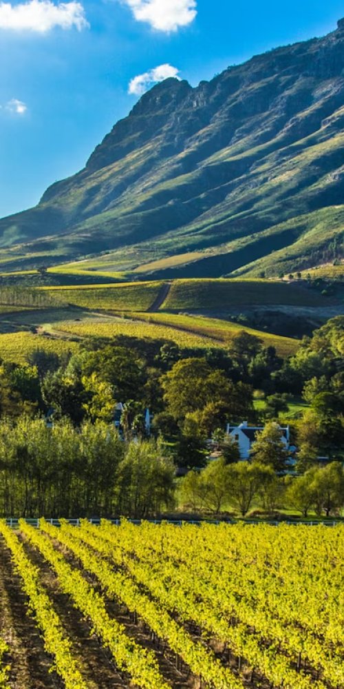 Transport in Stellenbosch