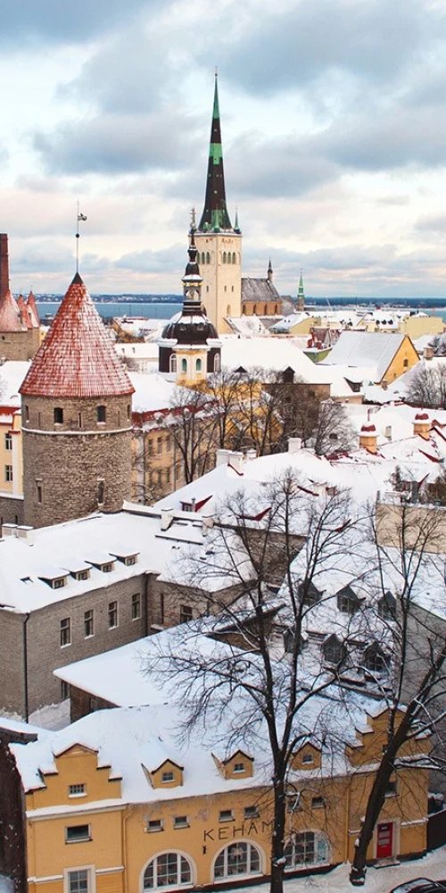 Tram and city street, Tallinn
