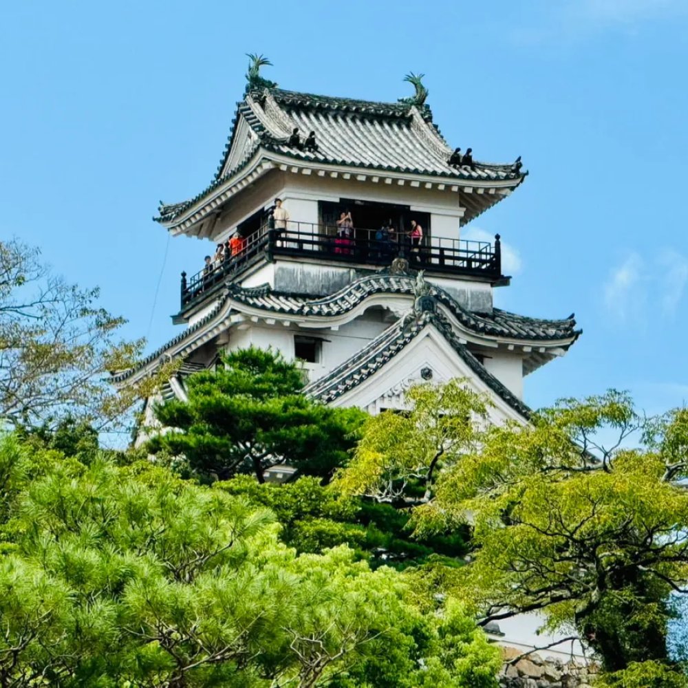 Standard Post with Image