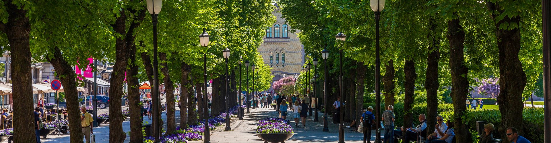 Scenic cultural view of Oslo, NO