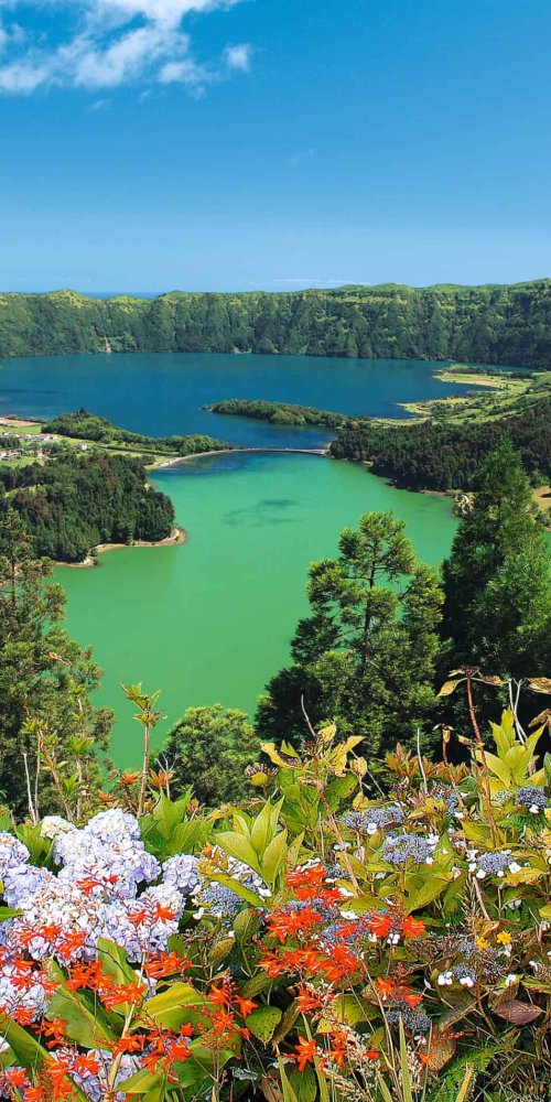 Getting around São Miguel, PT
