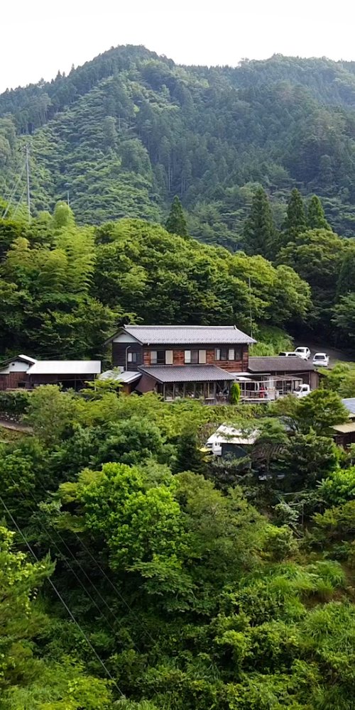 Getting Around Kochi, JP