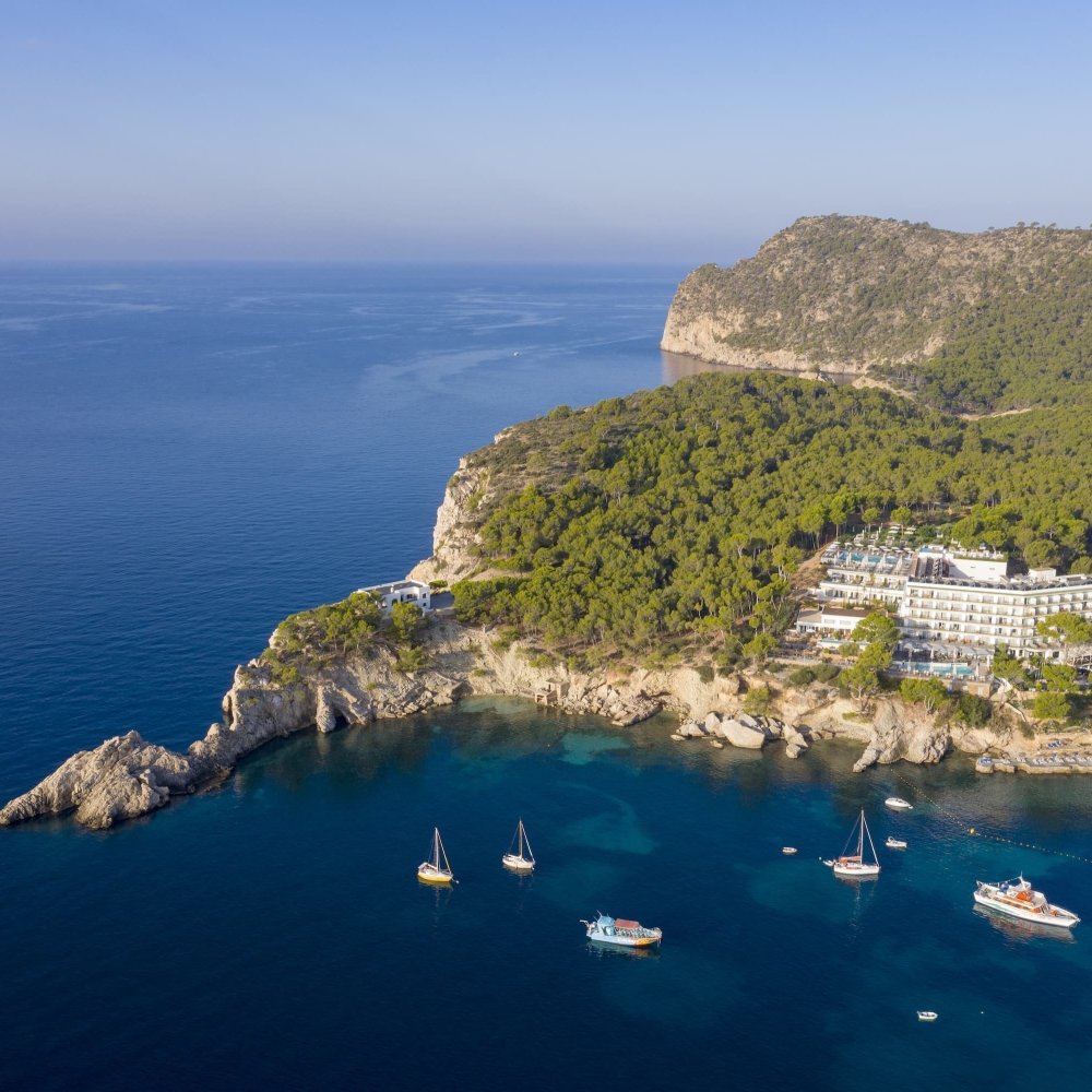 Standard Post with Image