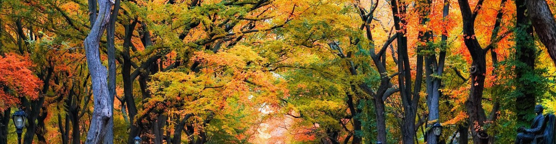 New York museum visitors enjoying exhibits