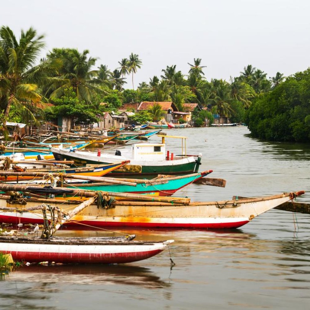 Standard Post with Image