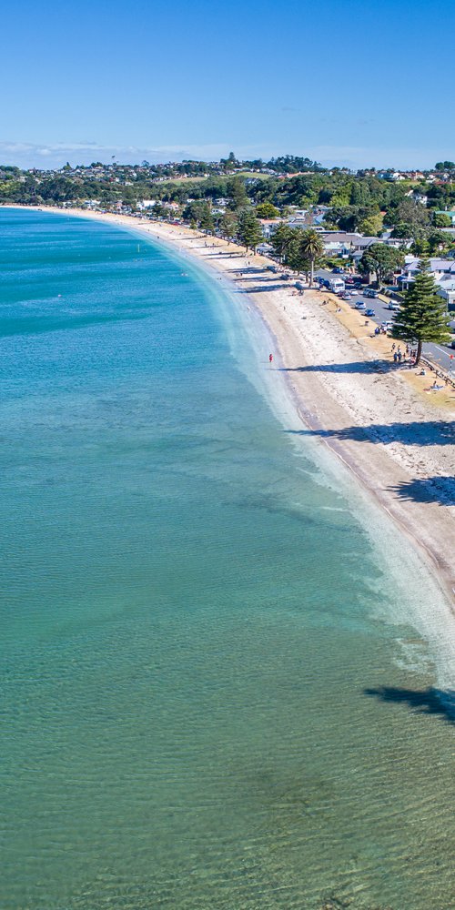 Public transport in Auckland