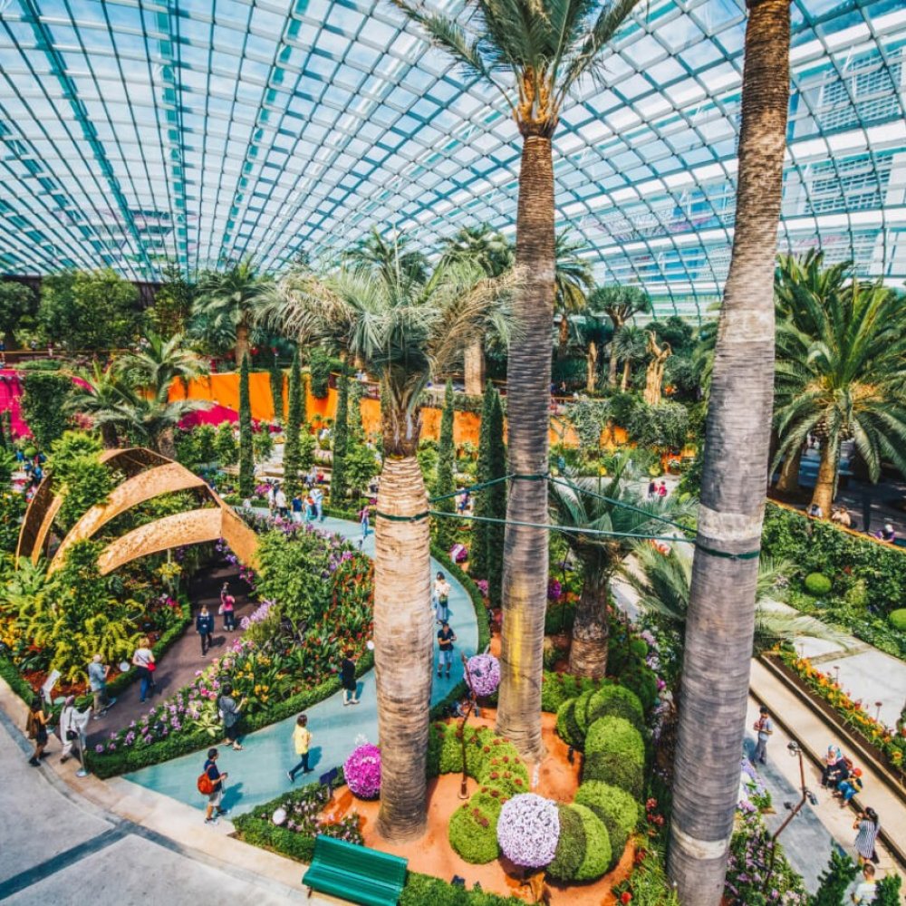 Standard Post with Image