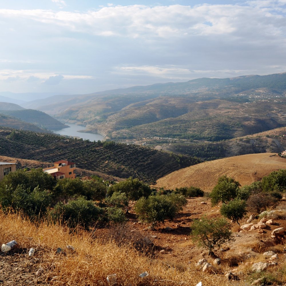 Standard Post with Image