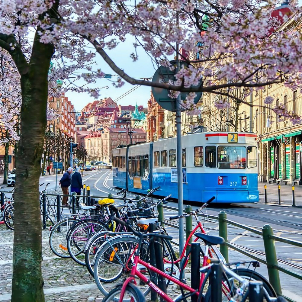 Standard Post with Image