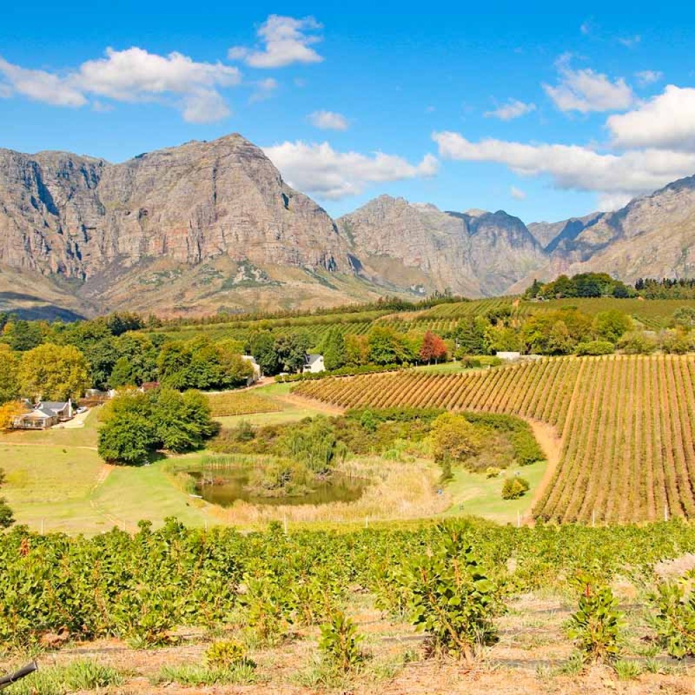 Standard Post with Image