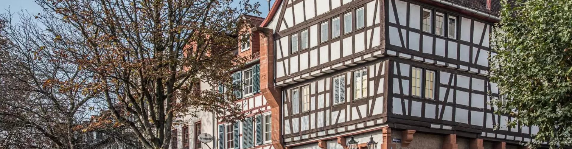 Gelnhausen Historic View