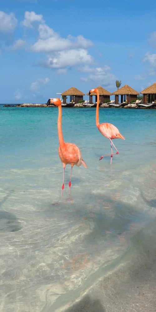 Historic District, Aruba