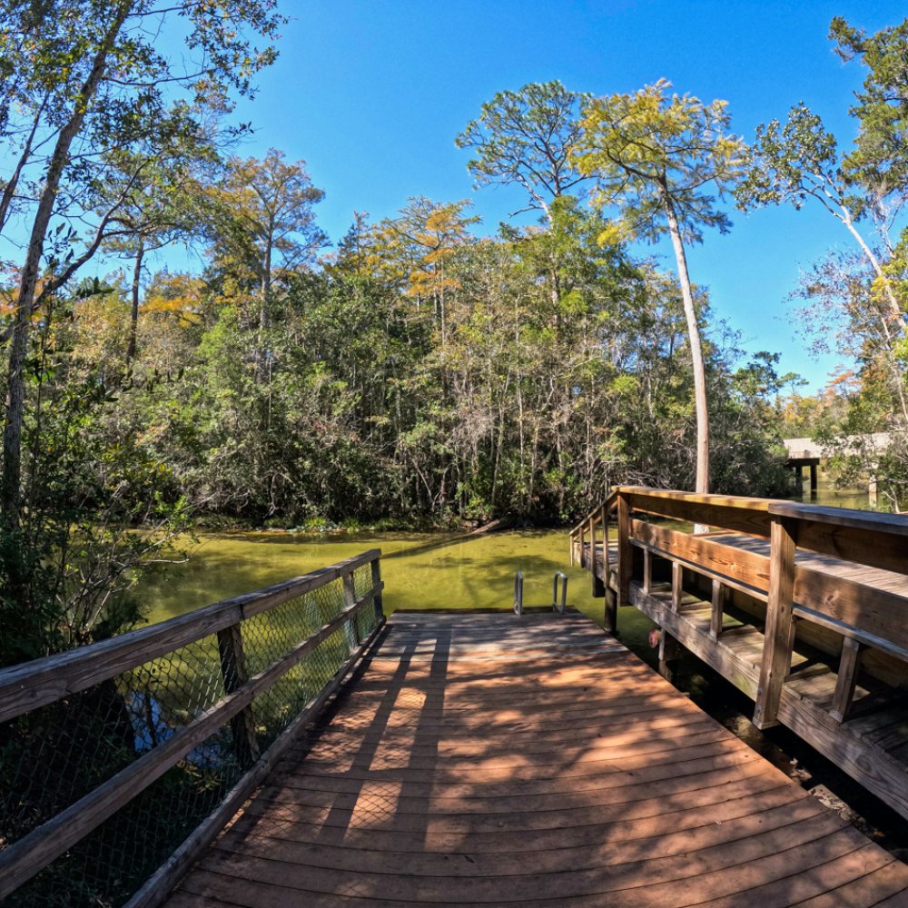 Standard Post with Image