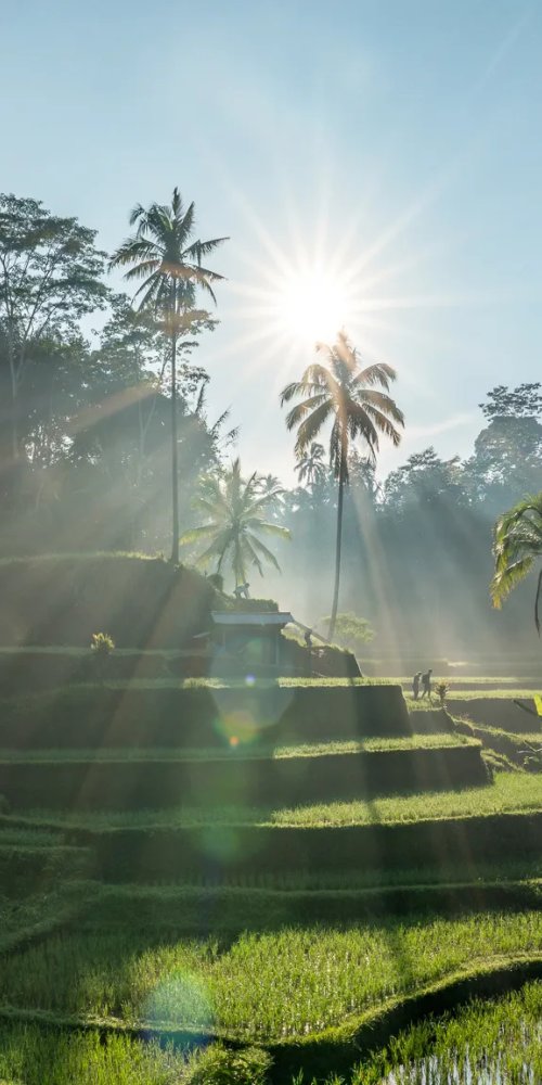 Transport in Bali, ID