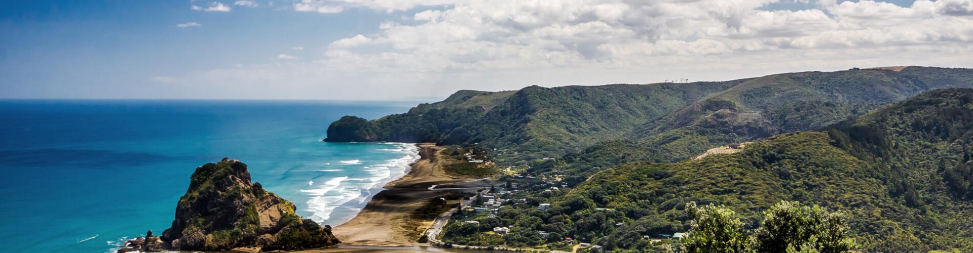 Historic Auckland view