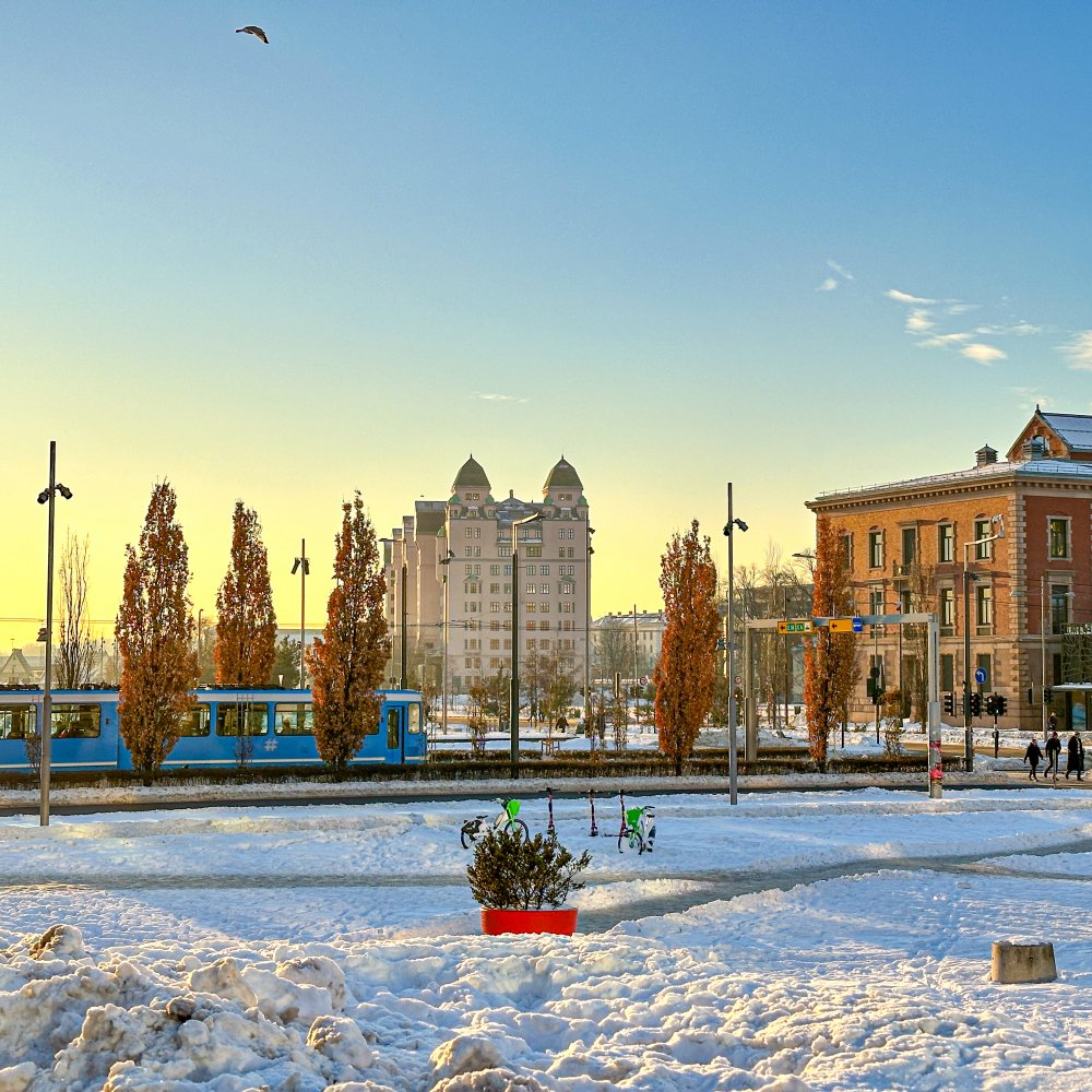 Standard Post with Image