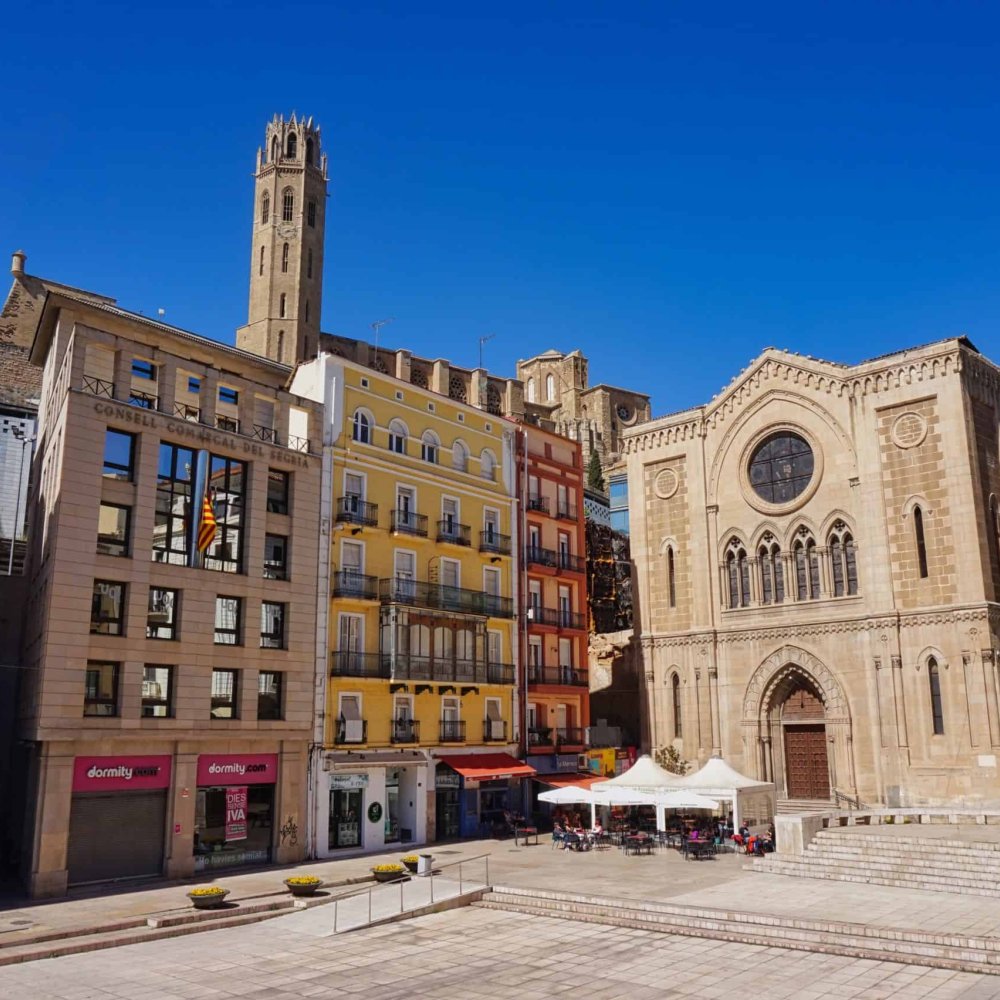 Standard Post with Image